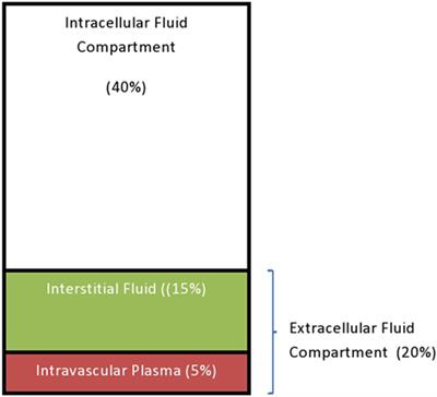 Management of Diarrhoeal Dehydration in Childhood: A Review for Clinicians in Developing Countries